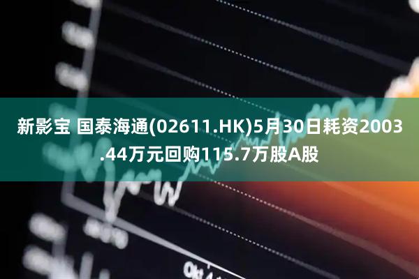 新影宝 国泰海通(02611.HK)5月30日耗资2003.44万元回购115.7万股A股