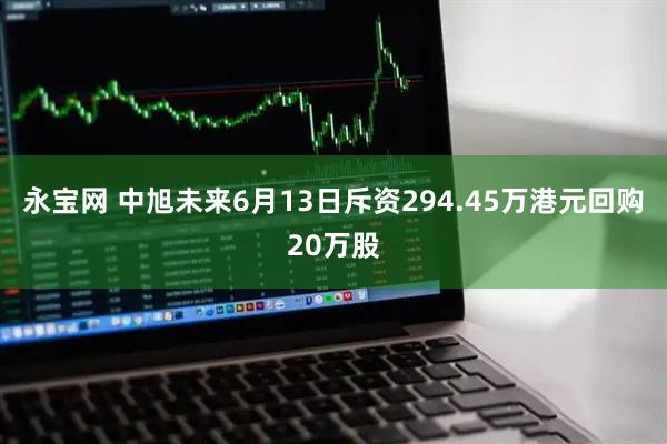 永宝网 中旭未来6月13日斥资294.45万港元回购20万股